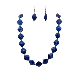Blue Beads Maala & Earrings